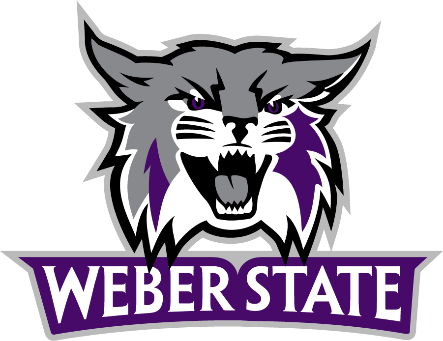 Weber State Wildcats 2012-Pres Primary Logo diy DTF decal sticker